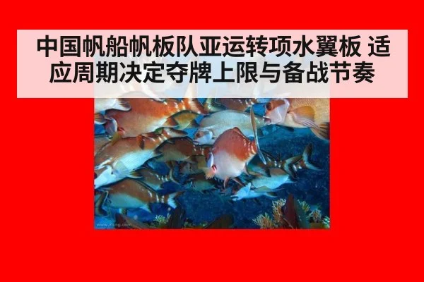 中国帆船帆板队亚运转项水翼板 适应周期决定夺牌上限与备战节奏